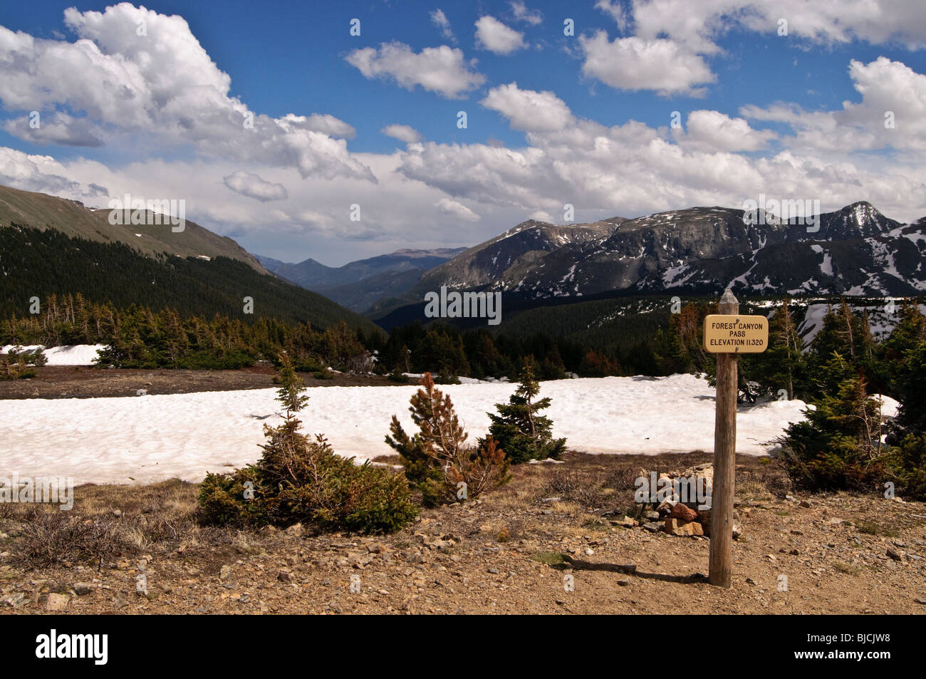 Forest Canyon, Rocky Mountain National Park. Stock Photo