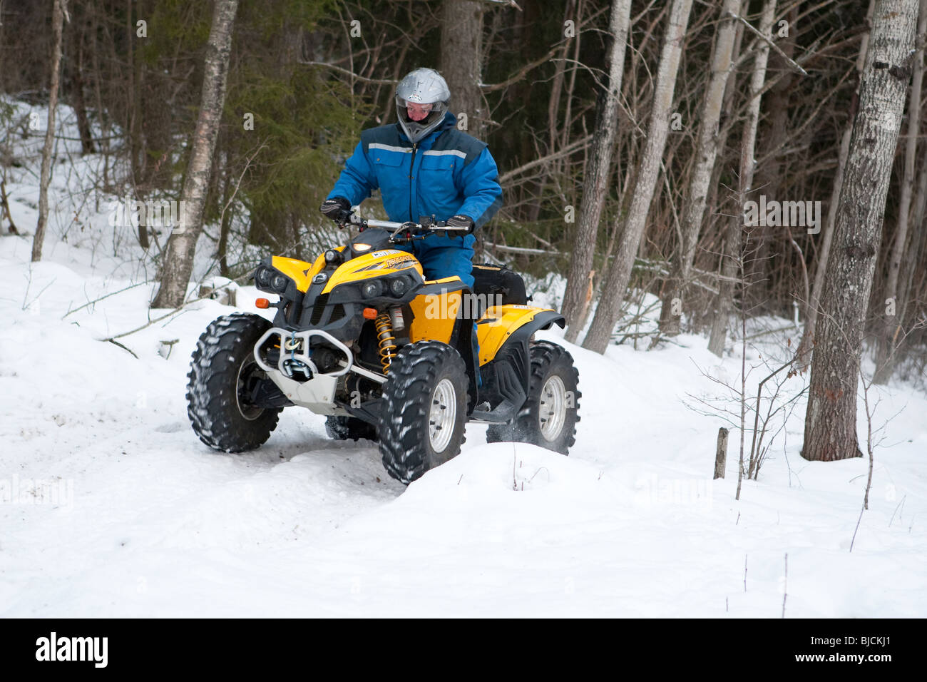 ATV 4 wheel drive in wood in winter Stock Photo Alamy