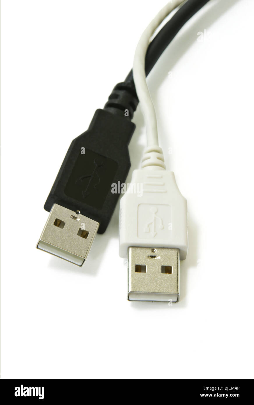 Usb Lead Image Close up of black and white USB leads on white background Stock Photo ...