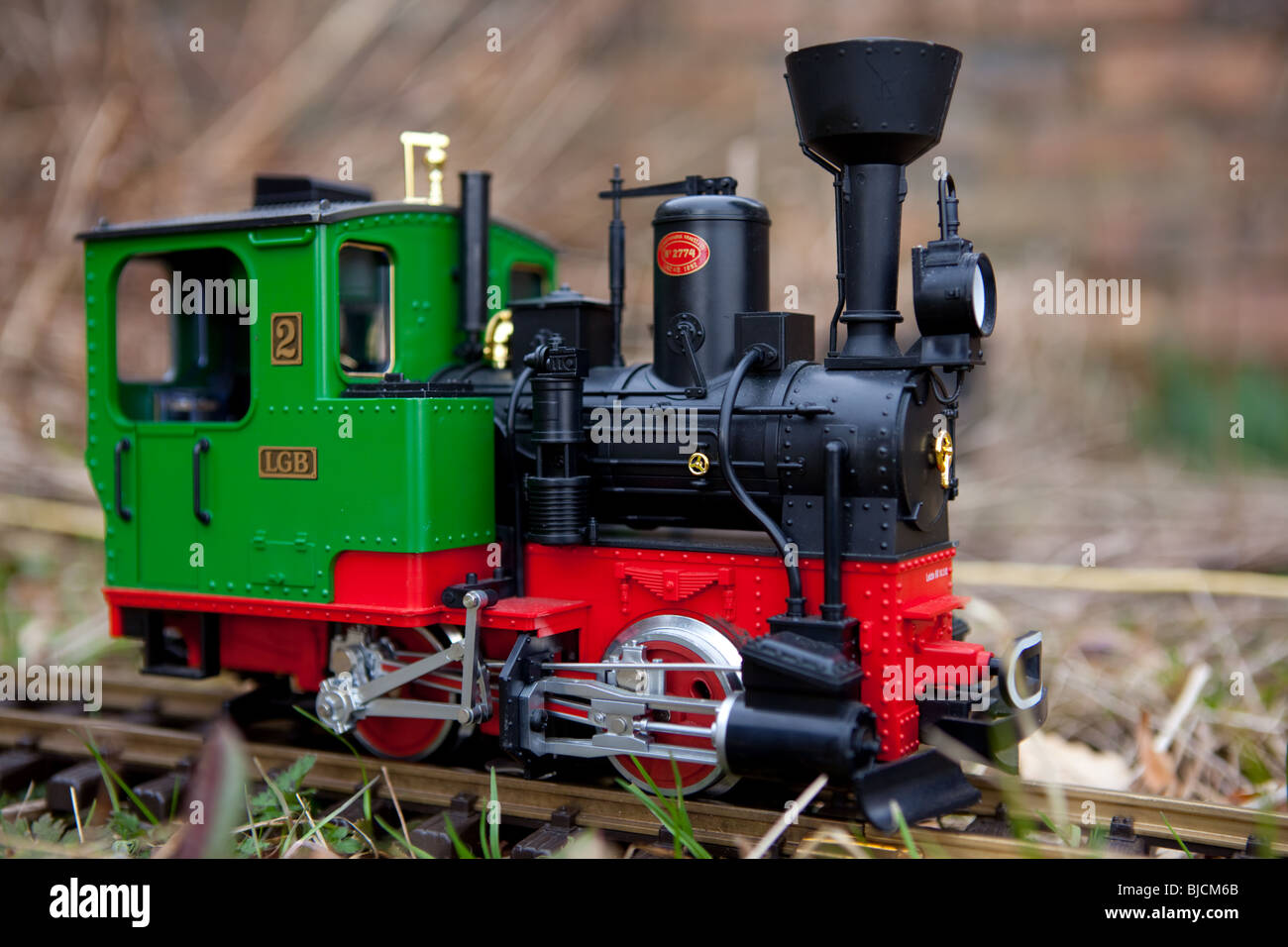 lgb model