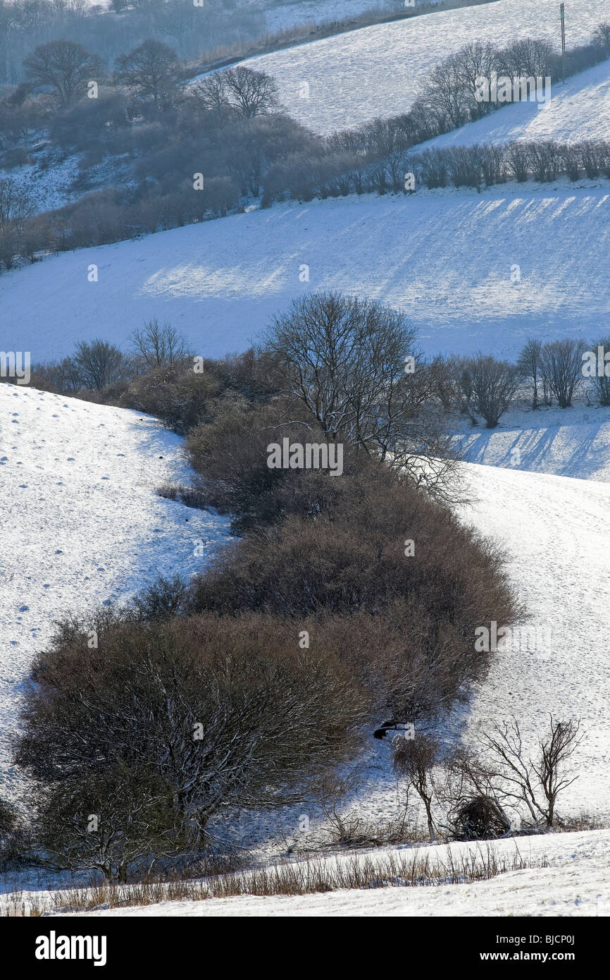 Winter in dorset hi-res stock photography and images - Alamy