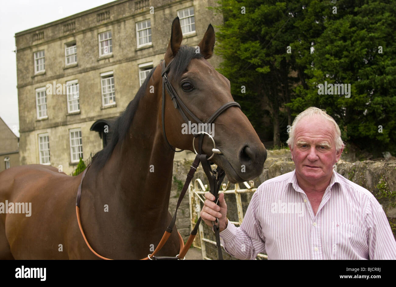 Milton Bradley racehorse trainer with one of his race horses BREVITY at Mead's Farm Sedbury Park near Chepstow Stock Photo