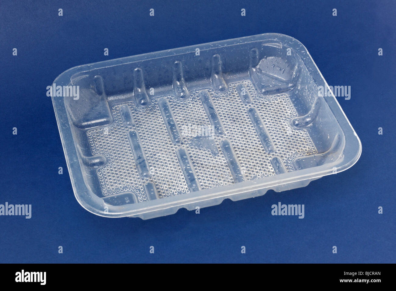Plastic Food Tray Shaped for a Chicken Stock Photo