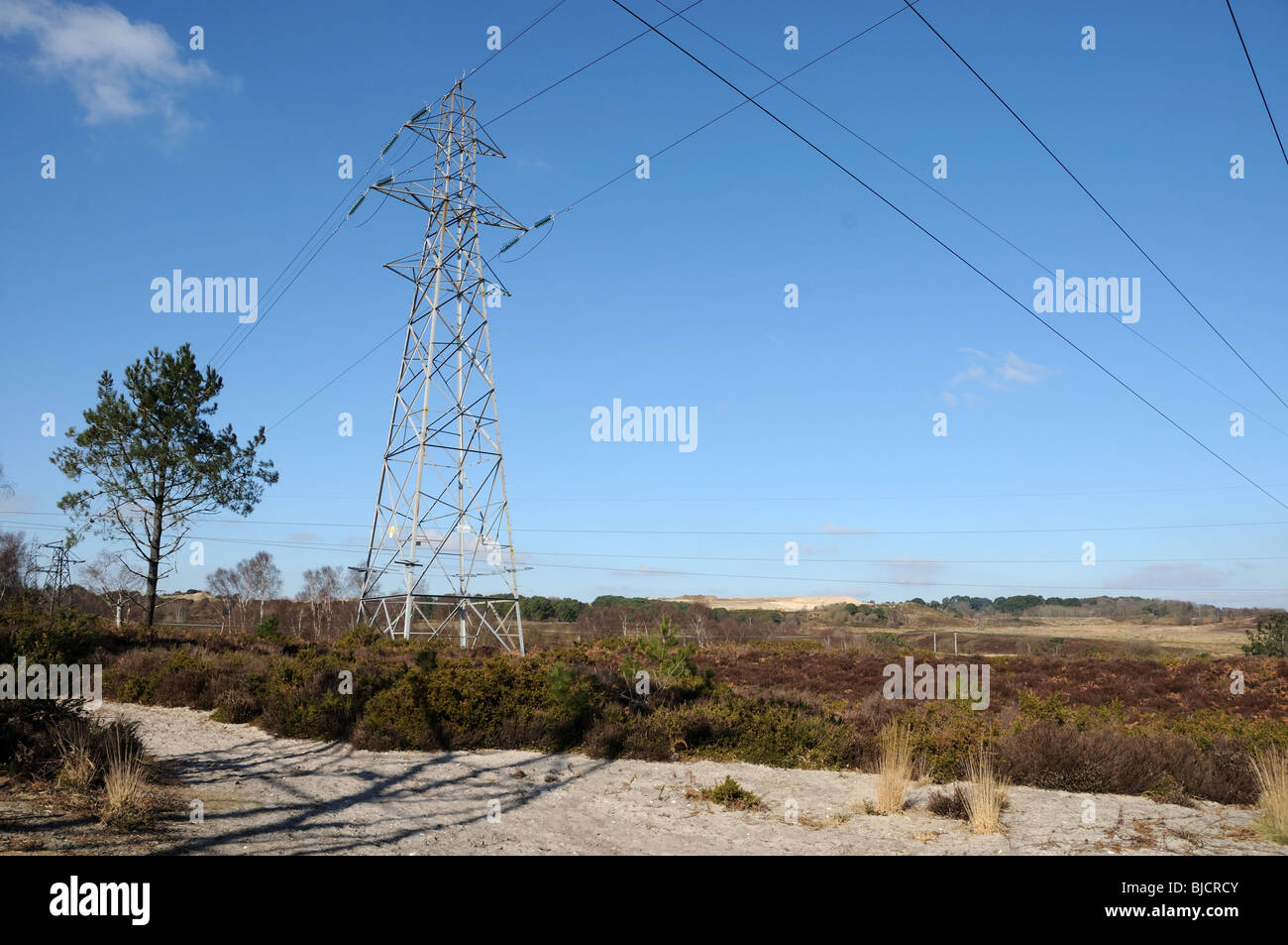 Pylons across Upton Heath Stock Photo