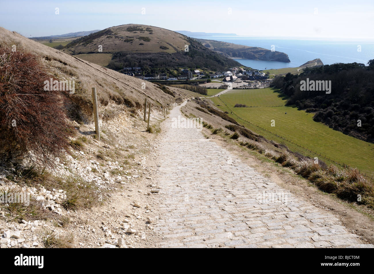 South west coast path , bindon hill and lulworth cove Stock Photo