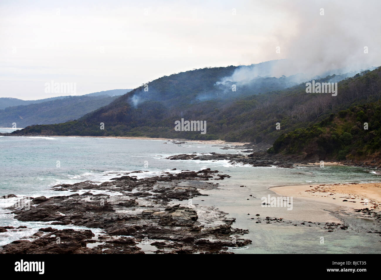 Eucalyptus forest fire in Great Otway National Park, Victoria, Australia Stock Photo