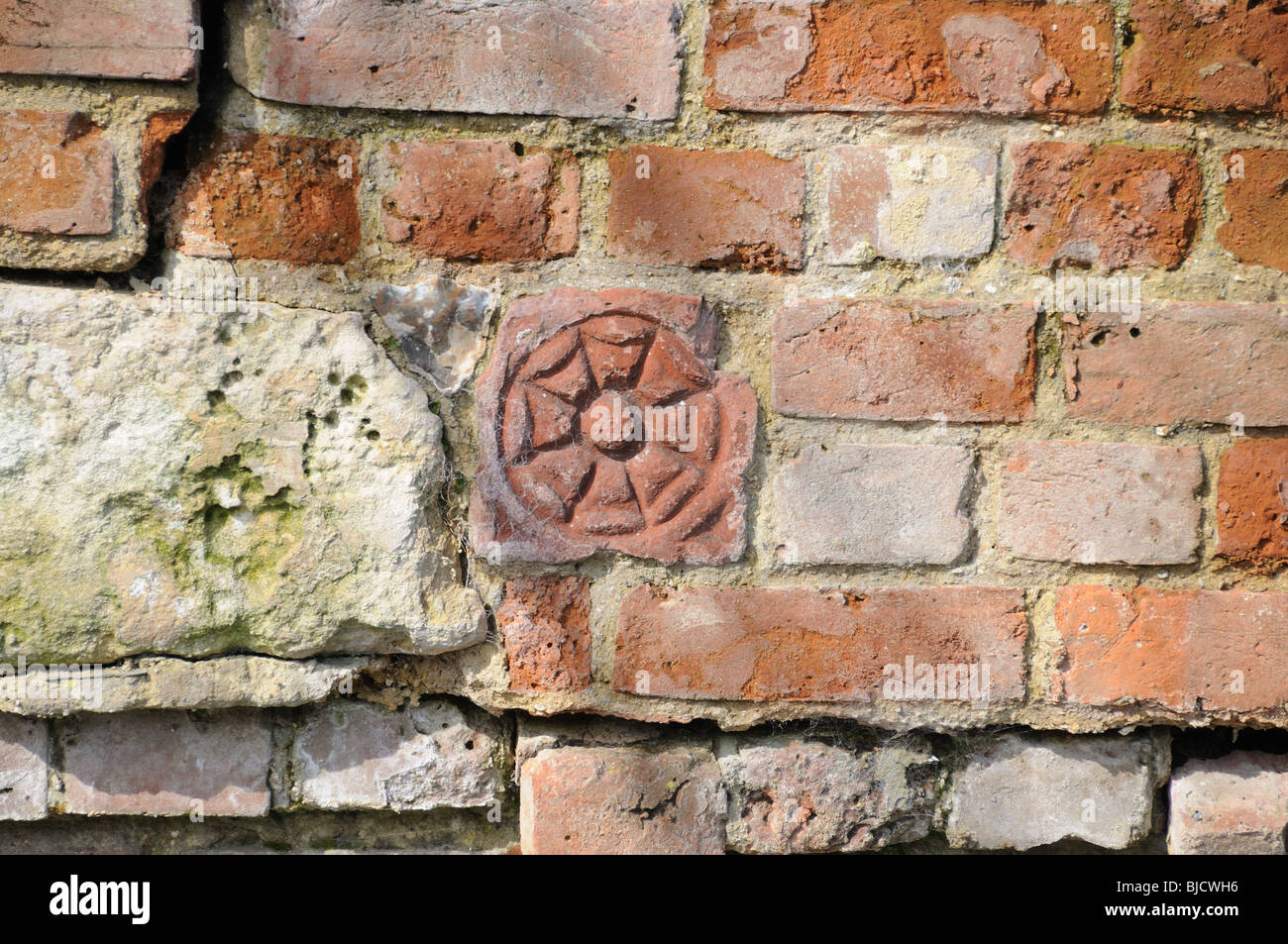 Tudor Rose imprint Stock Photo - Alamy