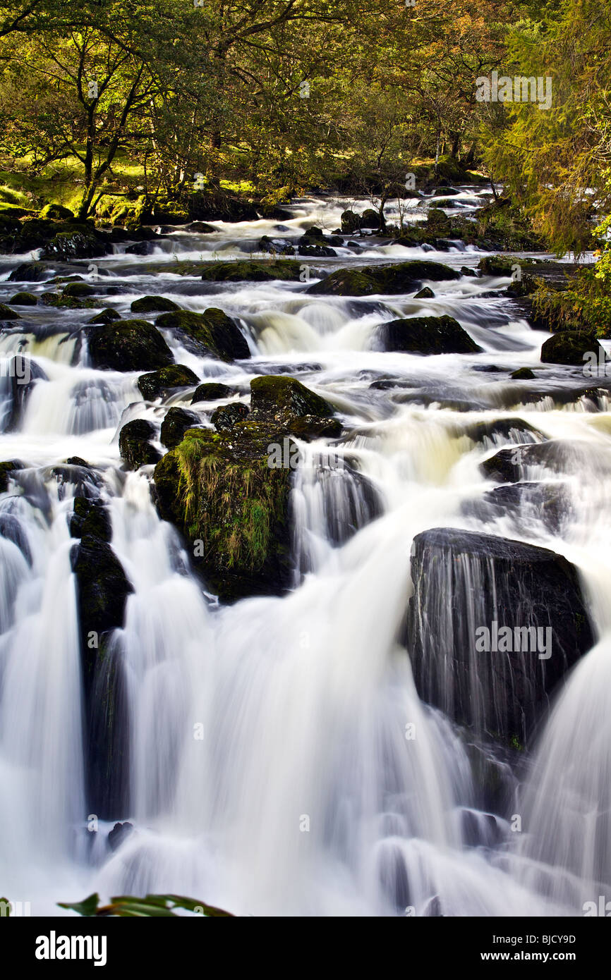 Swallow Falls near Betws-y-Coed, Snowdonia, North Wales, UK Stock Photo