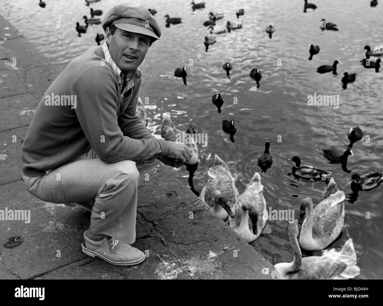 Classic black and whites Stock Photo Alamy