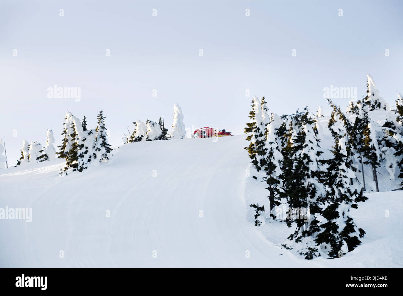 A groomer grooming a ski hill Stock Photo Alamy