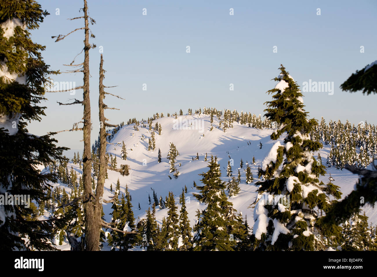 Mountain covered in snow Stock Photo - Alamy