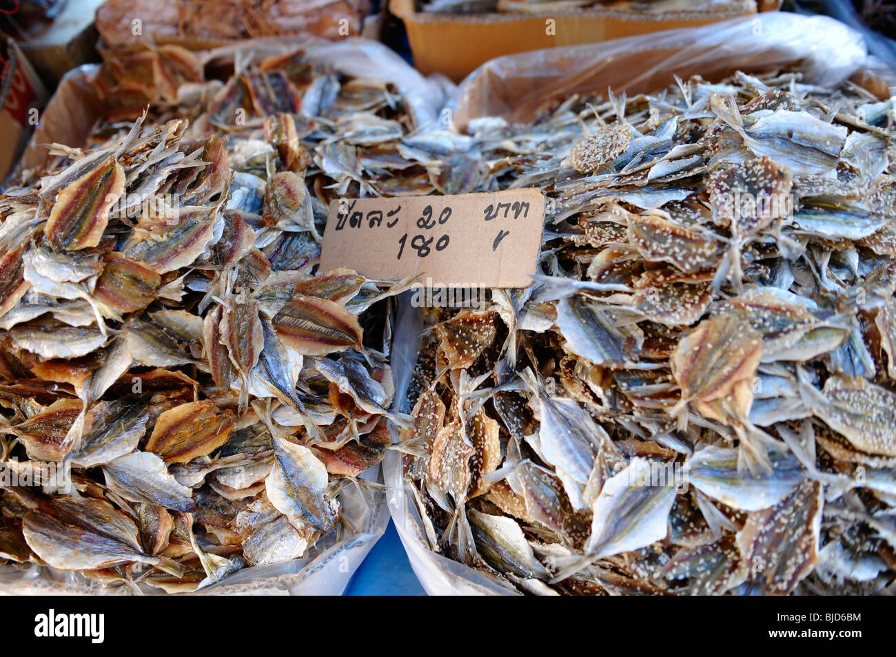 sun dried squid and octopus for sale at Wongwian Yai Market and Bang Yi