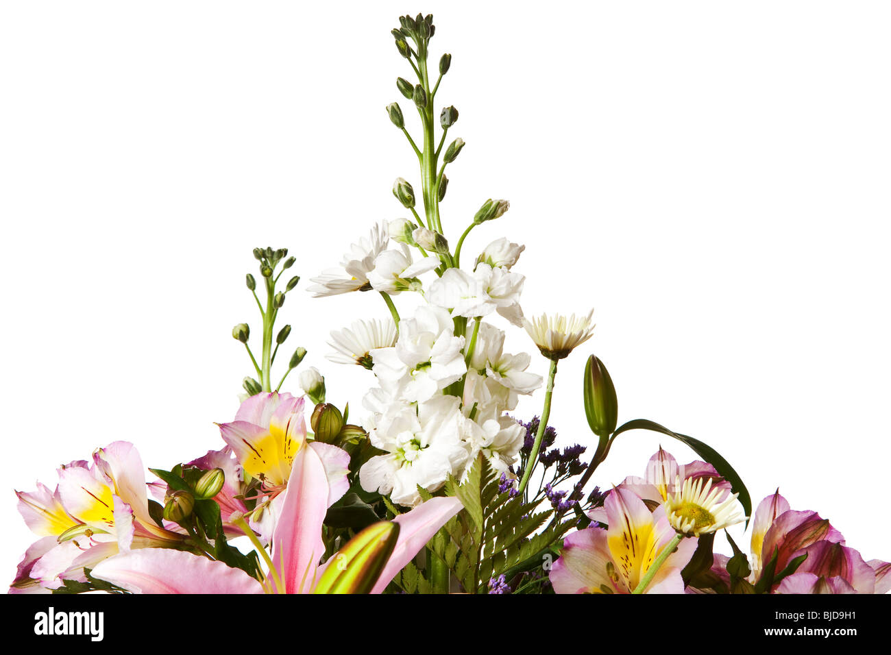 bouquet of flowers isolated on a white background Stock Photo - Alamy