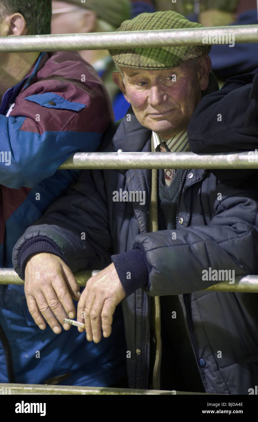 Farmers watching the auction at the UK's first organic stock sale which was held at Brecon Livestock Market, Powys, South Wales Stock Photo