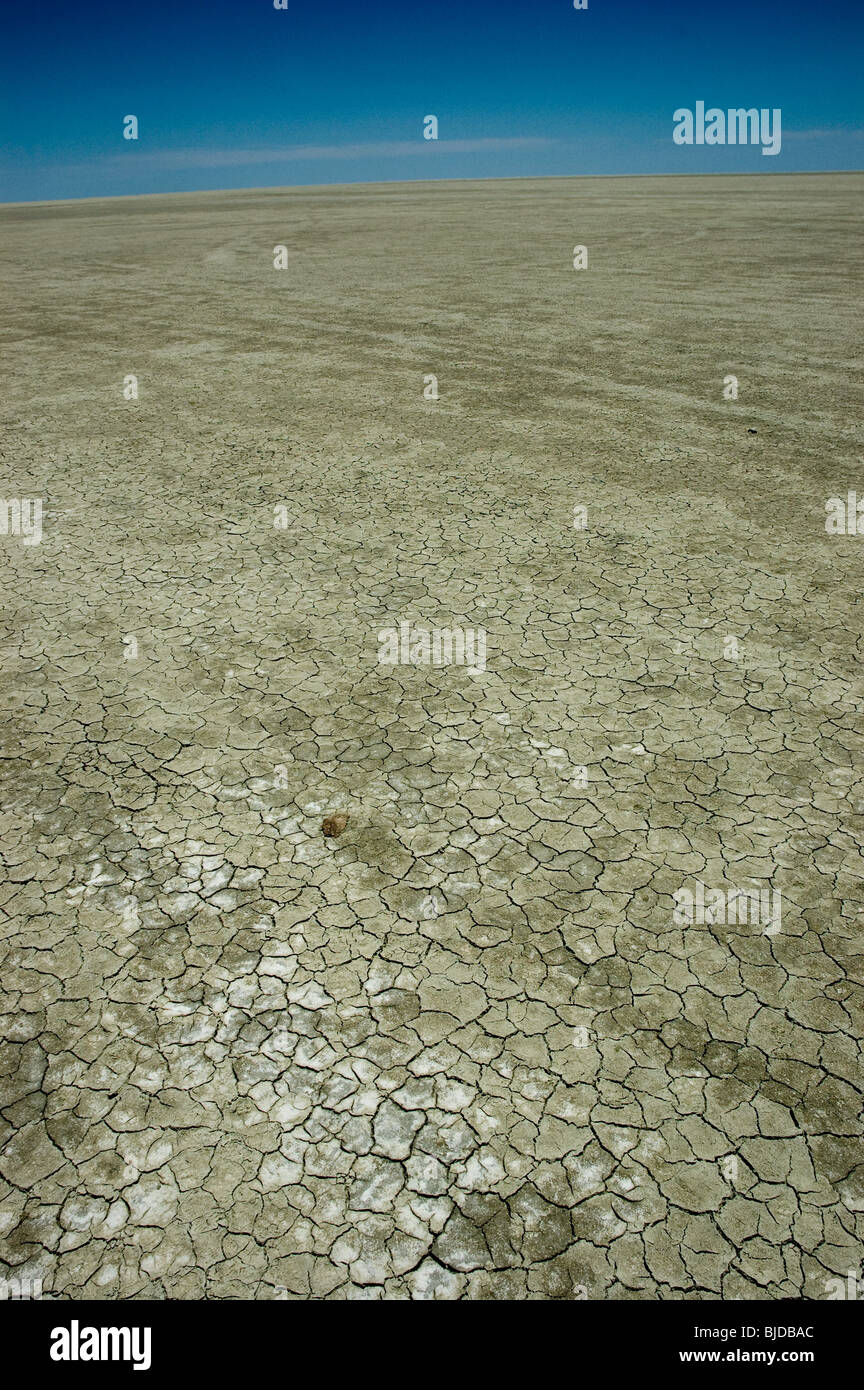 Dry mud texture Stock Photo