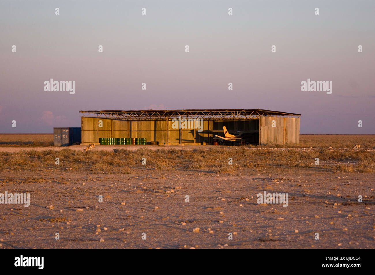 airstrip in etosha national park Stock Photo