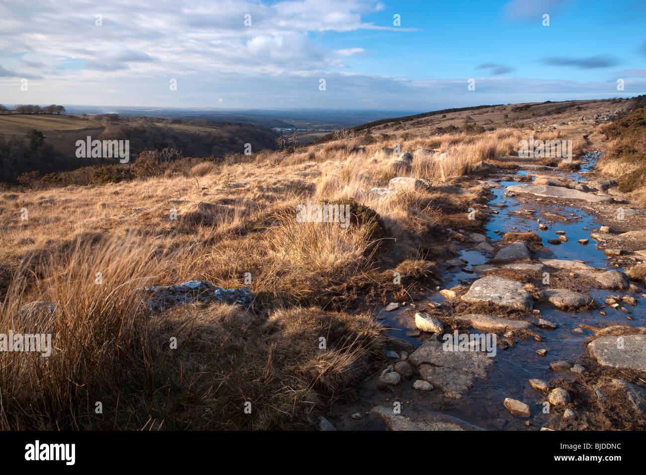 Path from Irishman's Wall to Belstone. Dartmoor National Park. Stock Photo