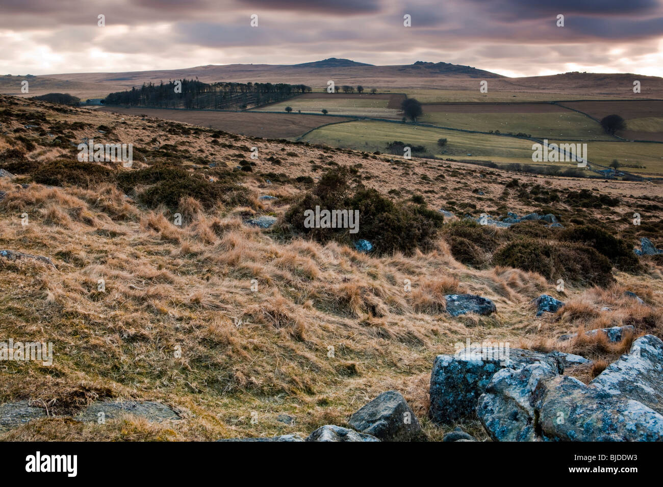View from Irishman's Wall toward Oke Tor. Dartmoor National Park. Stock Photo