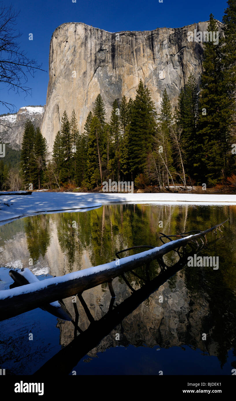El Capitan mountain reflected in the Merced River in winter from Cathedral beach with a snow covered log in Yosemite National Park Valley California Stock Photo