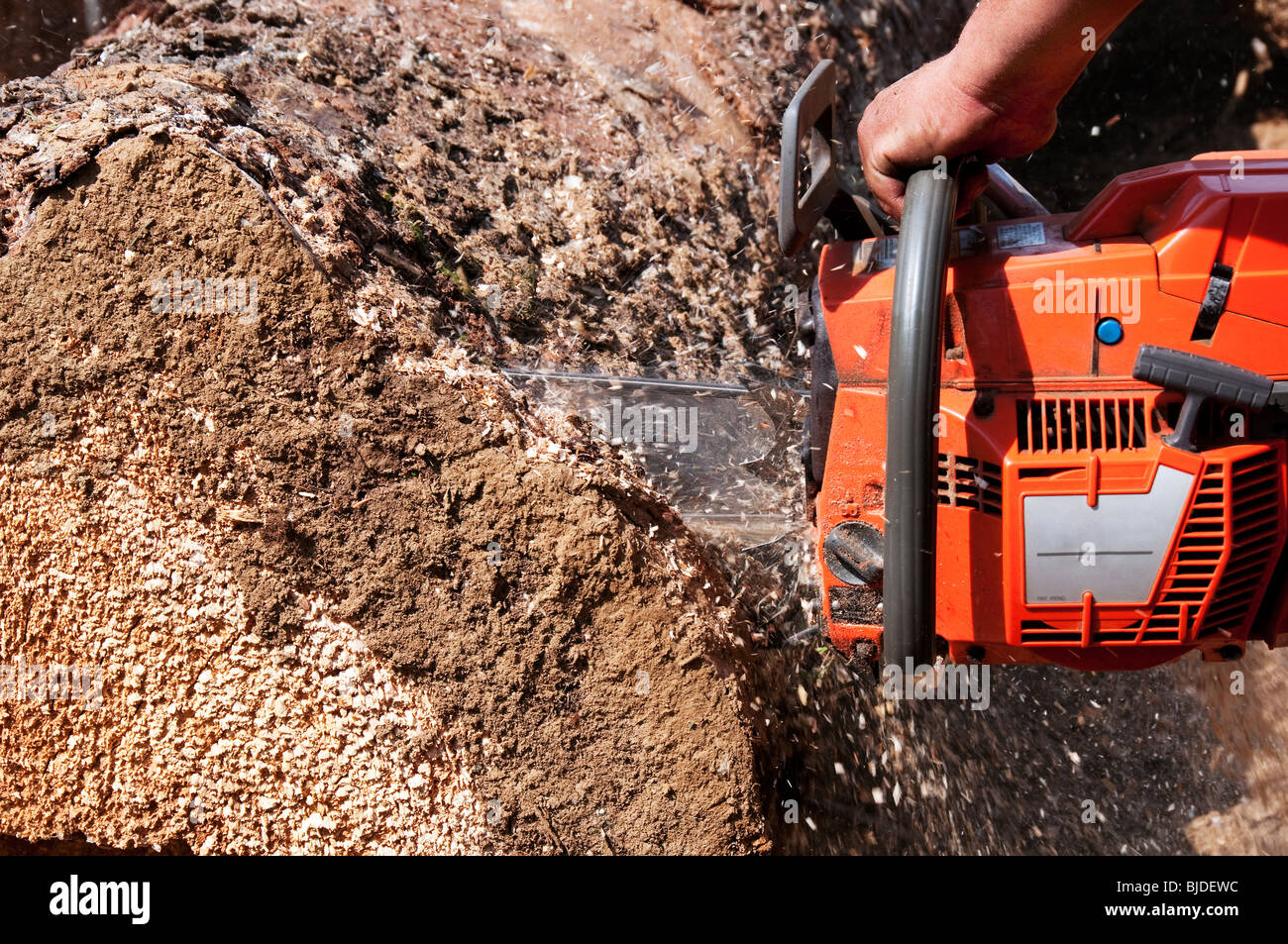 Worker's hand and chain saw. Stock Photo