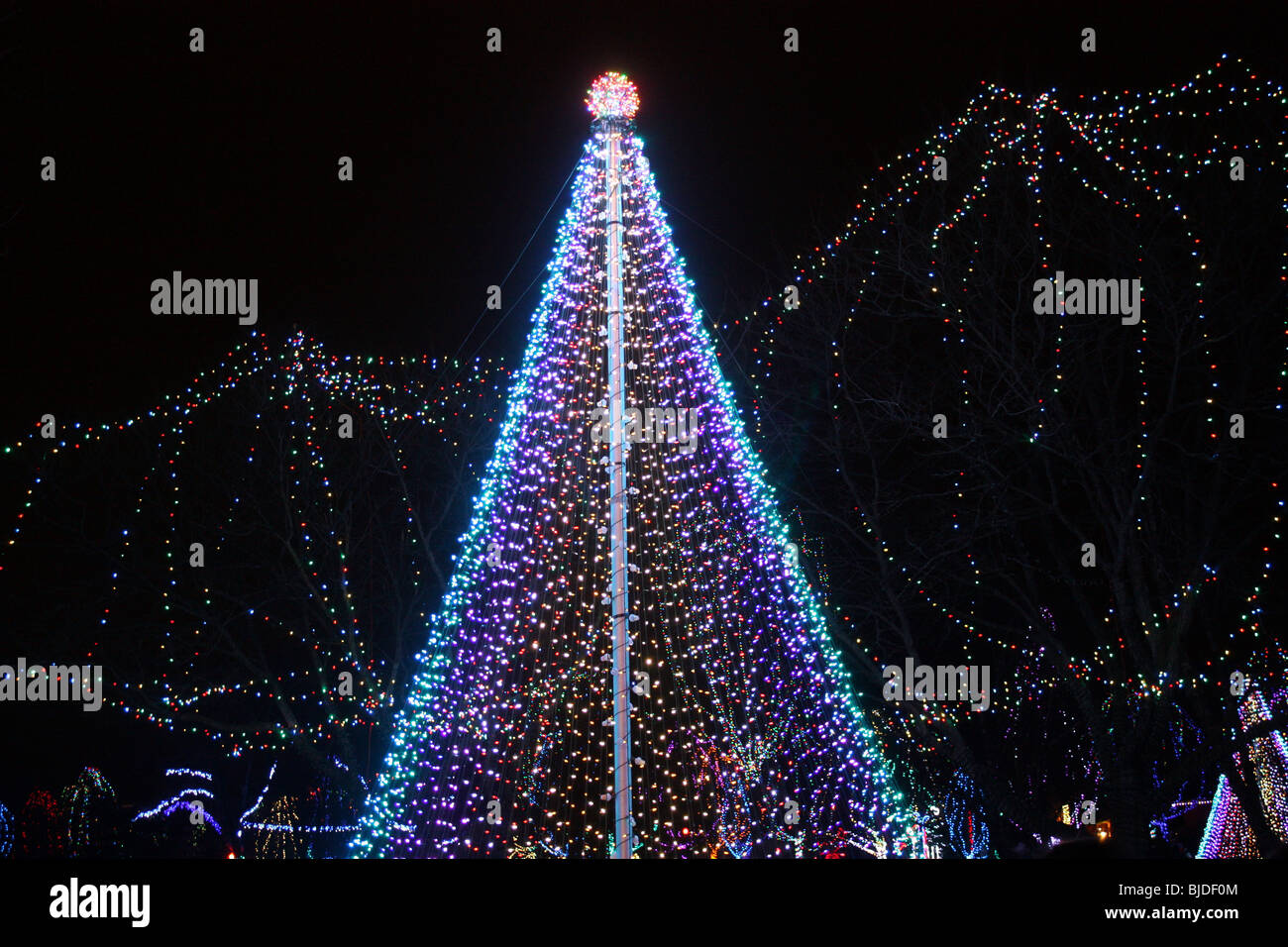 Christmas tree decorations - lights on tree, holidays night Stock Photo