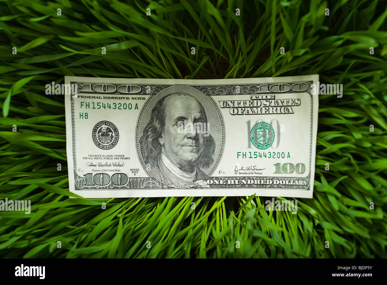 100 dollar bill in the grass. Stock Photo