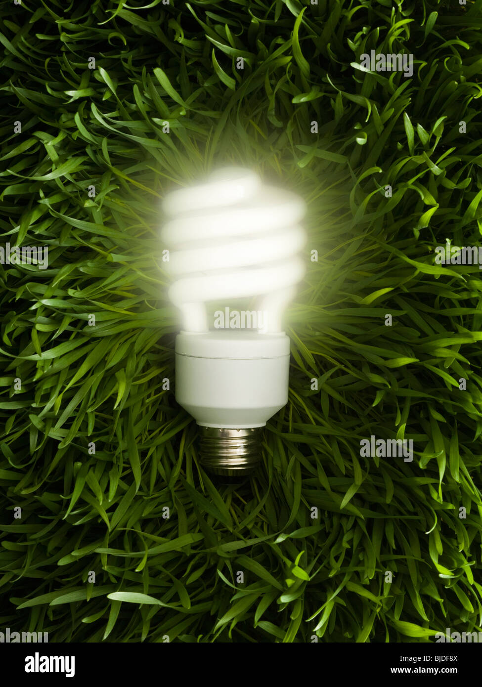 Energy efficient light bulb on green grass Stock Photo - Alamy