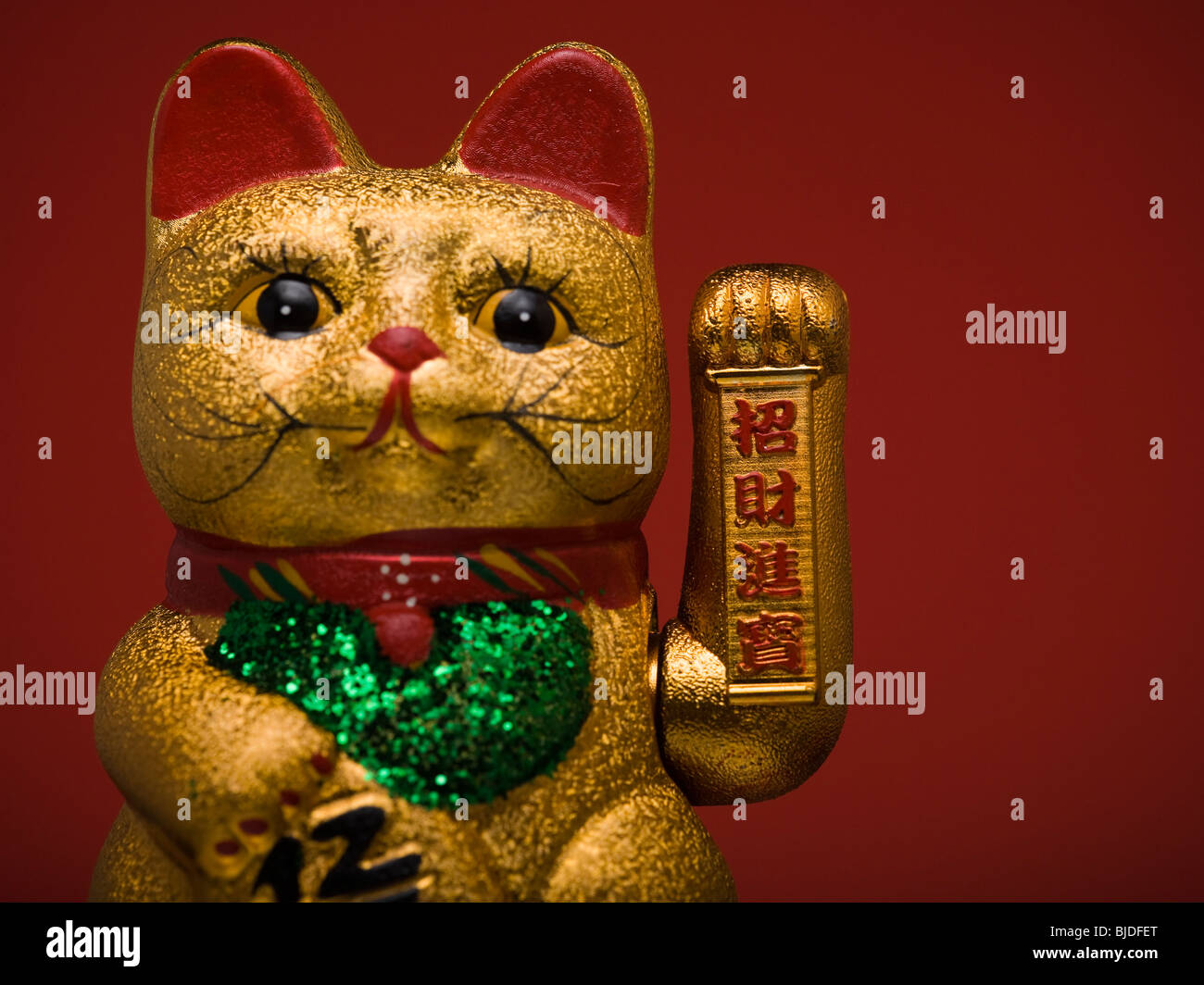 Asian cat toy discount