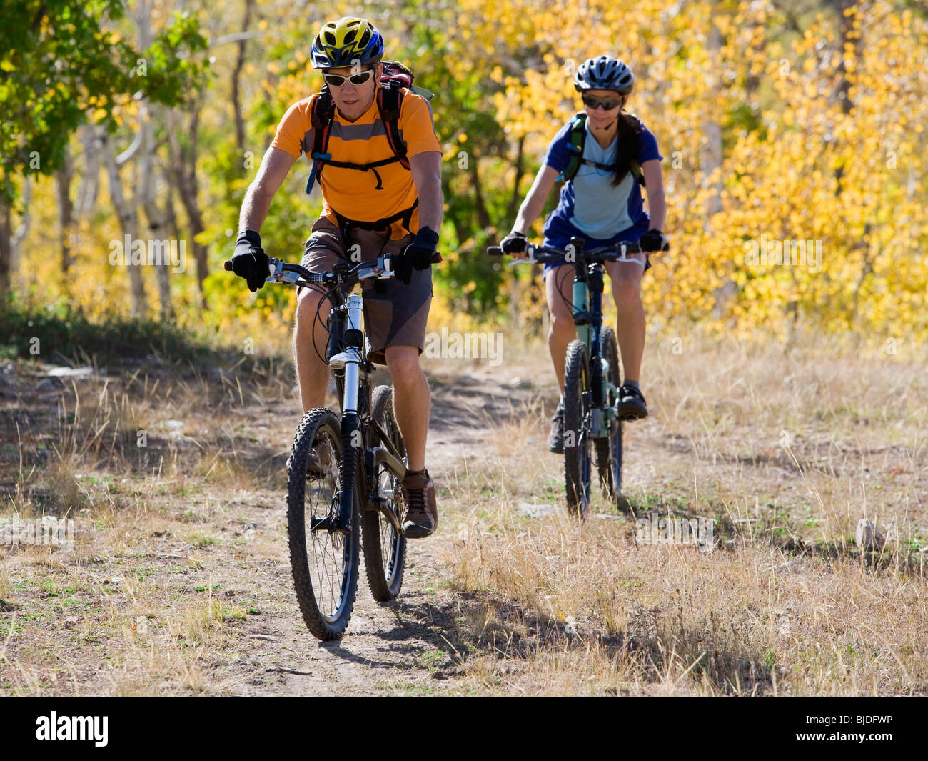 Male and female mountain bikers. Stock Photo