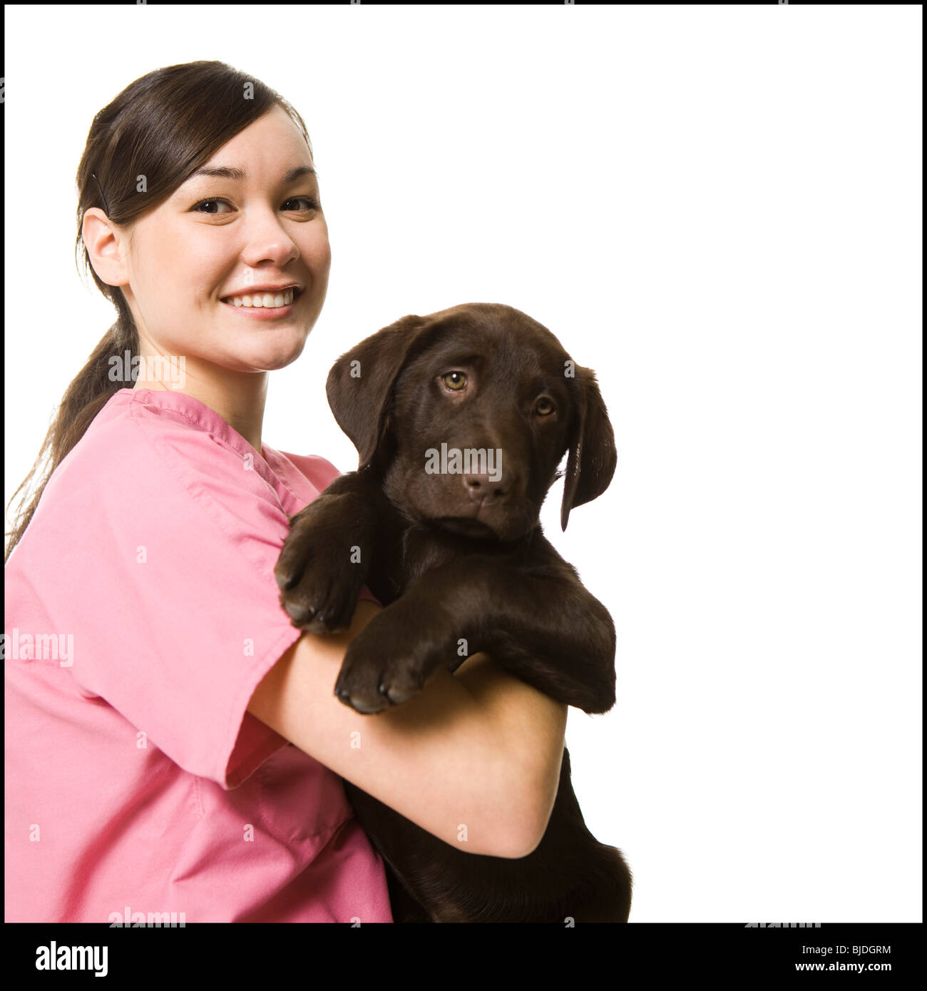 veterinary technician Stock Photo