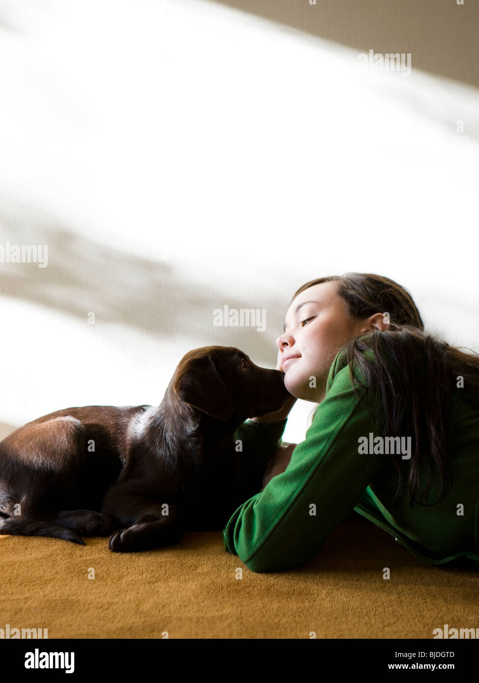 young woman with a brown puppy Stock Photo