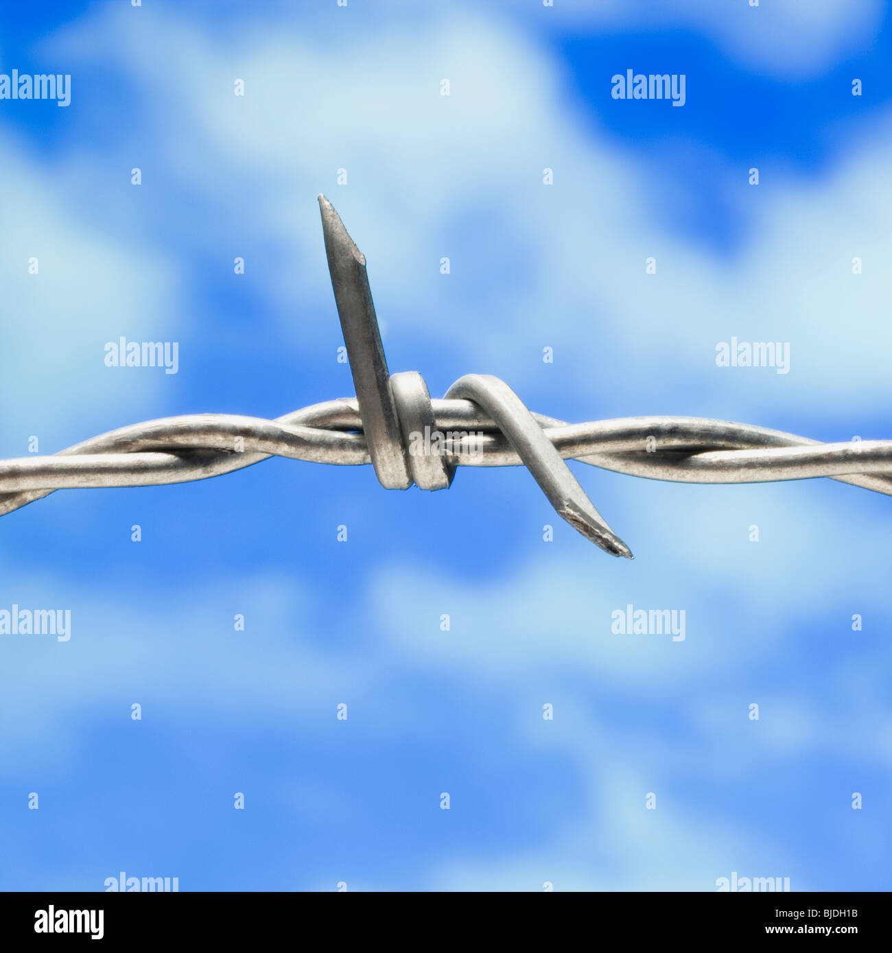 barbed wire Stock Photo