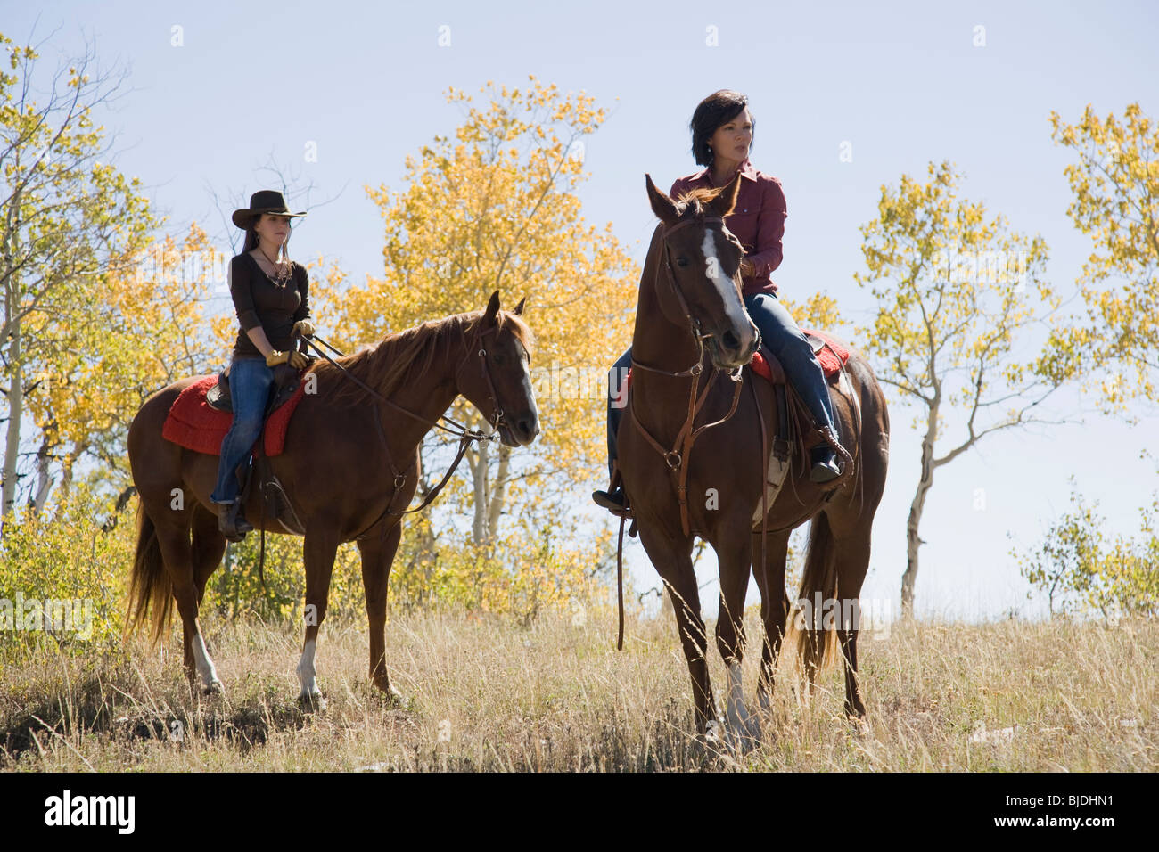 women riding horses Stock Photo