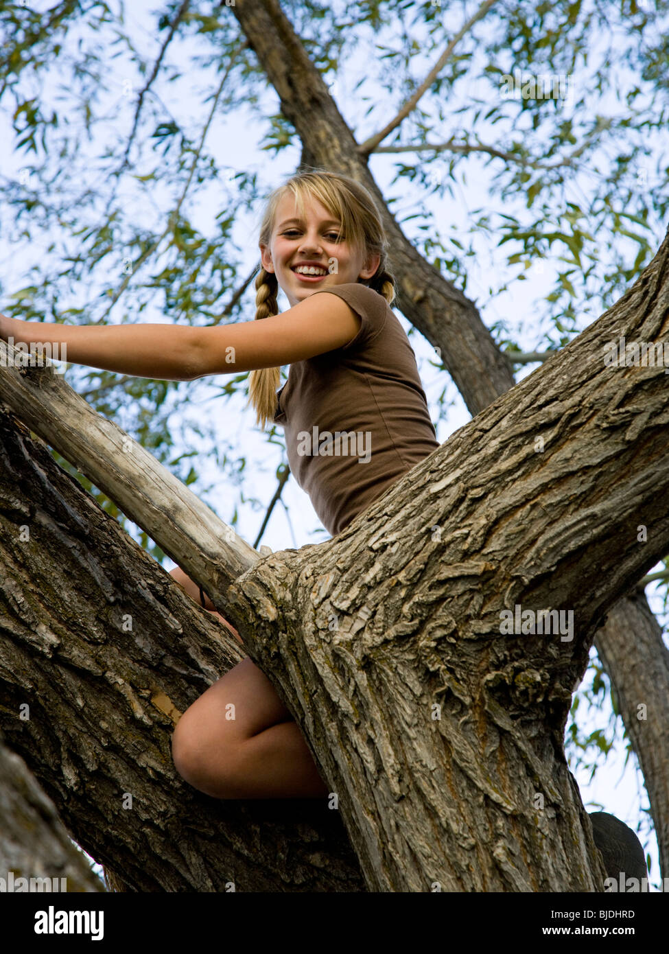 girl climbing tree Stock Photo Alamy