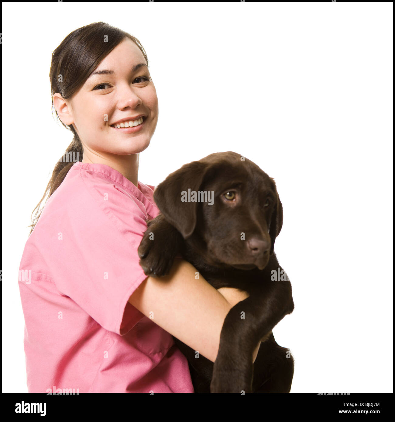 veterinary technician Stock Photo