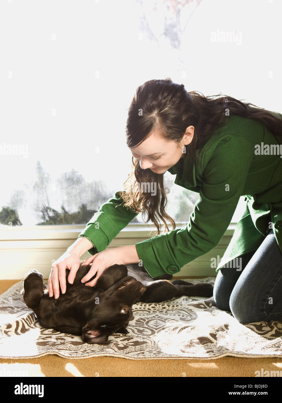 young woman with a brown puppy Stock Photo