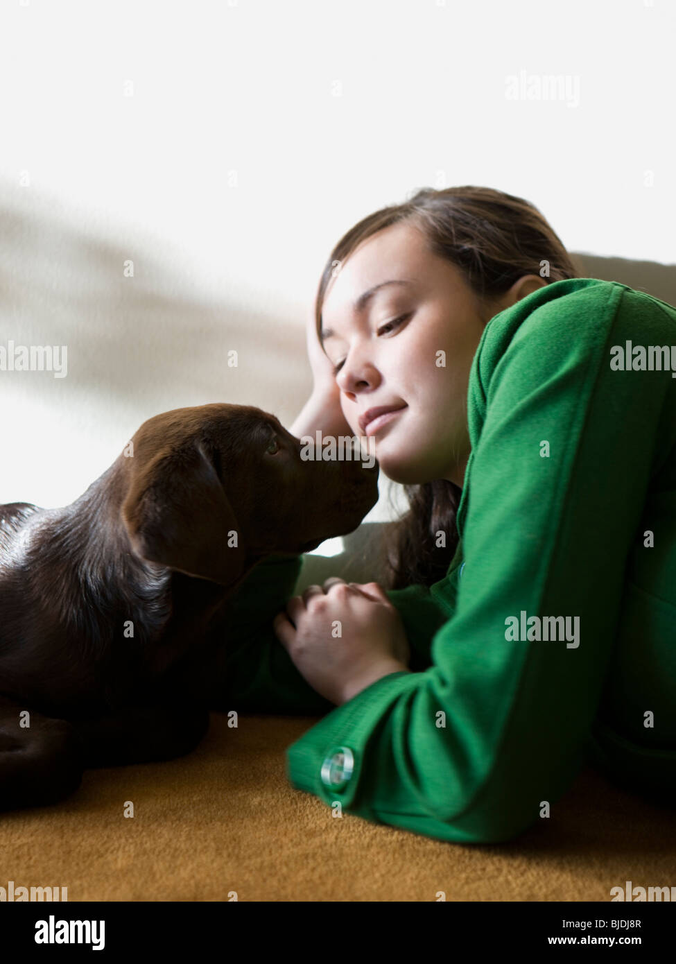 young woman with a brown puppy Stock Photo