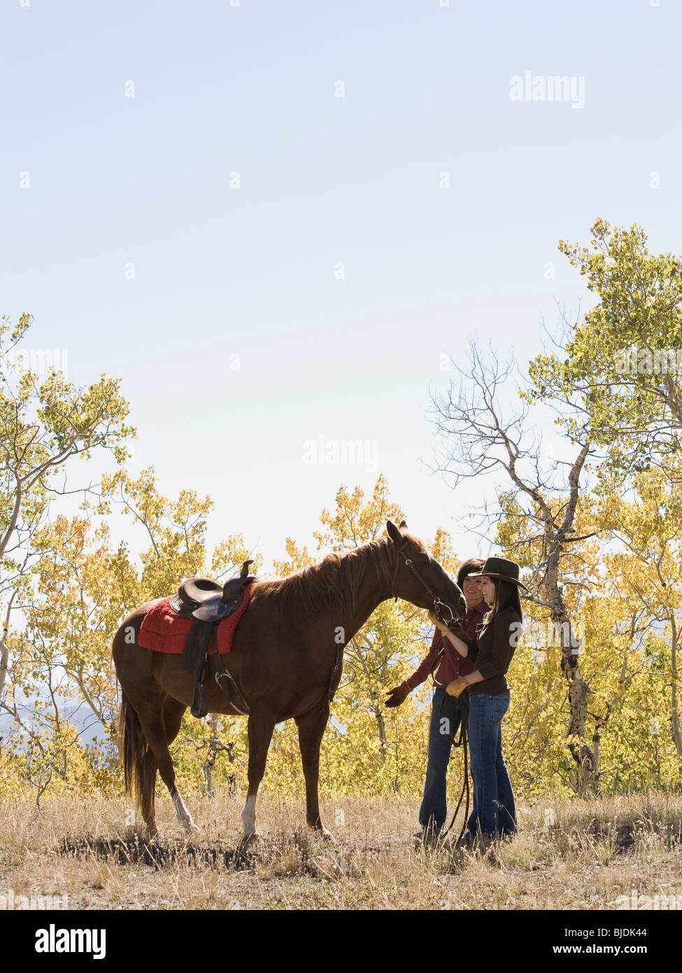 two women with a horse Stock Photo