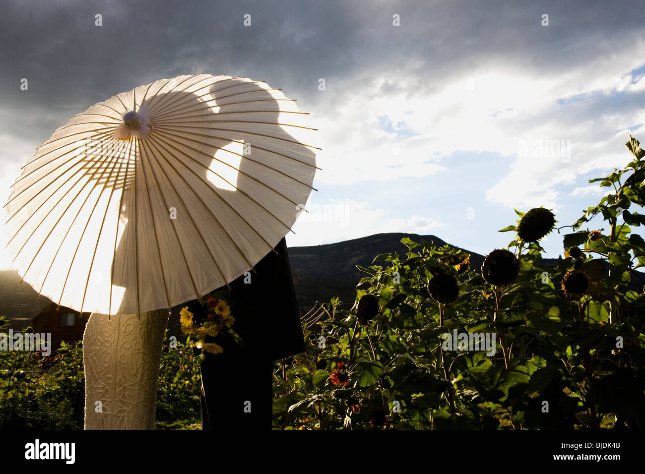 couple hiding behind umbrella Stock Photo Alamy