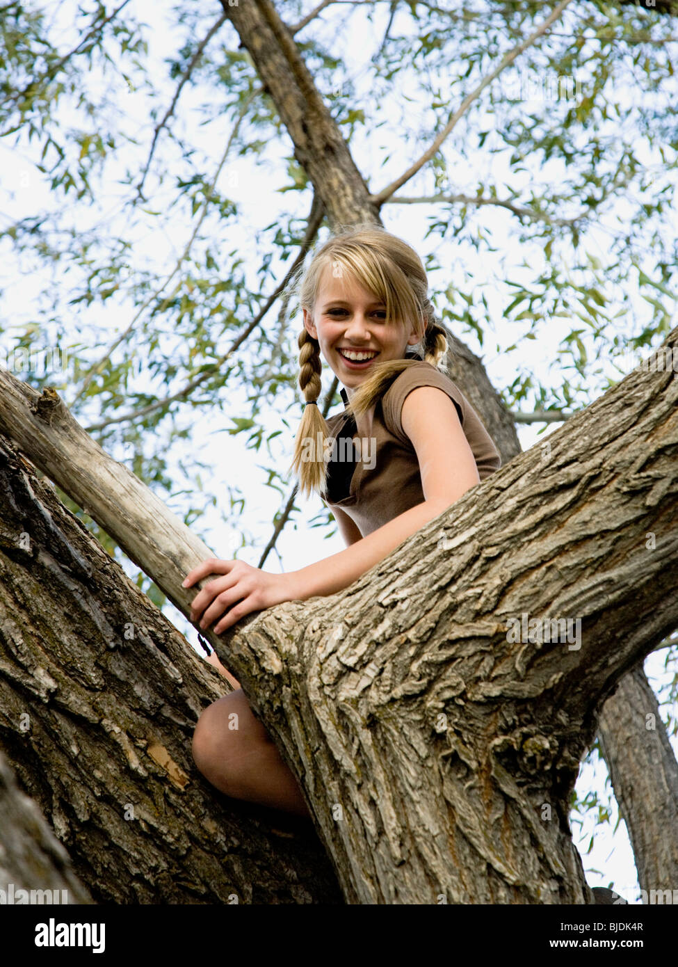 girl climbing tree Stock Photo Alamy
