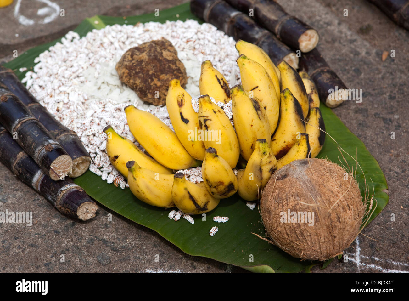 India, Kerala, Kochi, Ernakulam Uthsavom festival, offering of rice bananas, coconut and sugar cane on banana leaf Stock Photo