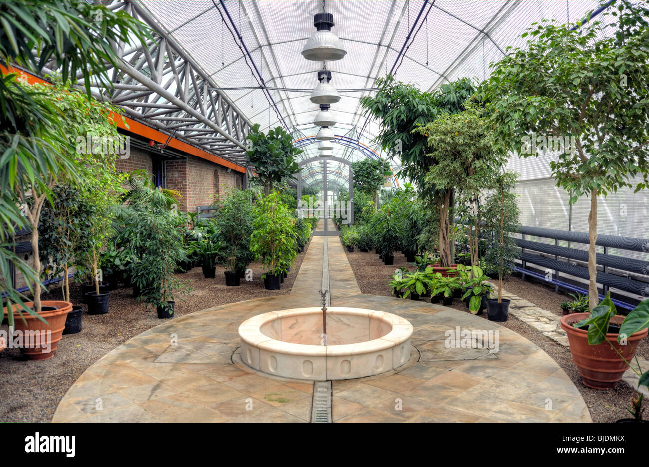 Flowers in modern greenhouse Stock Photo Alamy