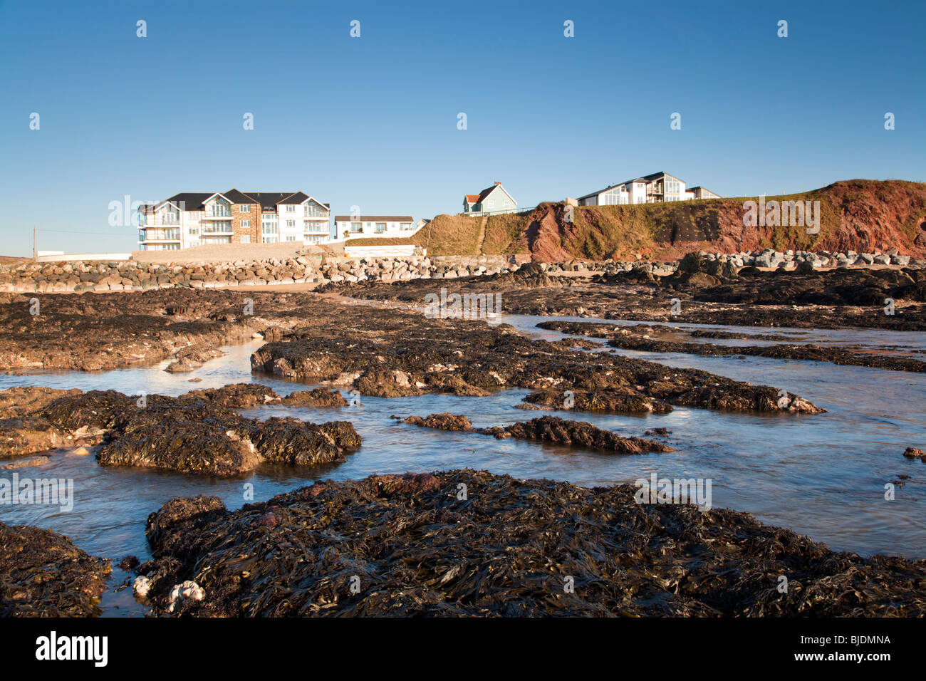 Houses overlooking South Milton Sands, Devon England UK Stock Photo Alamy