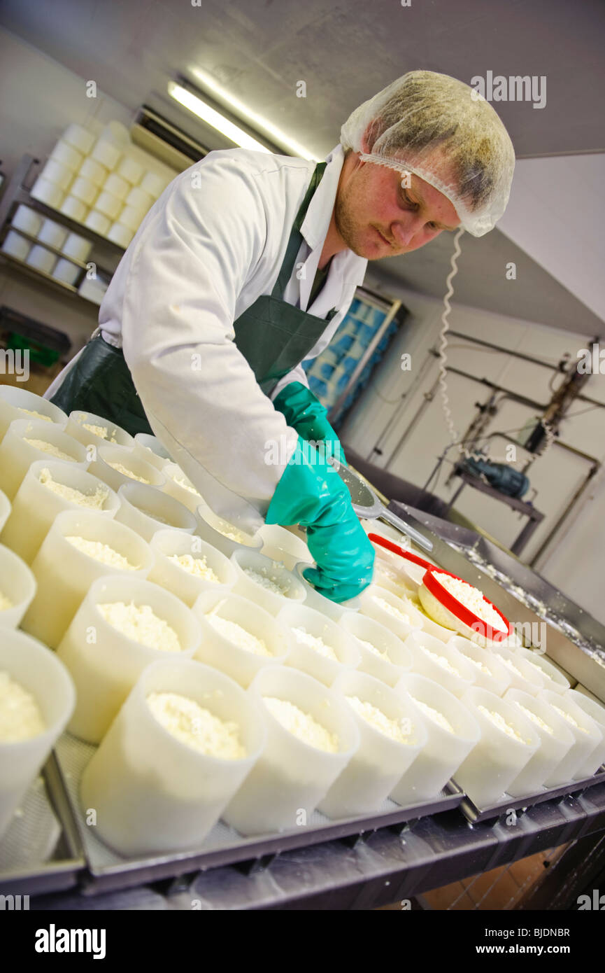 A man Pouring curds into cheese molds at Caws Cenarth welsh organic