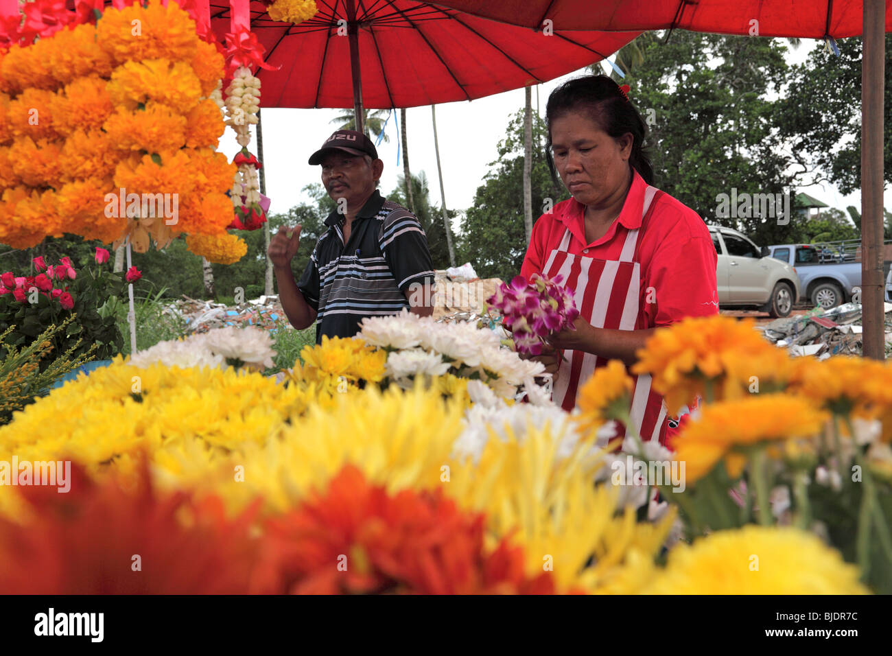 Yellow flowers thailand hi-res stock photography and images - Alamy