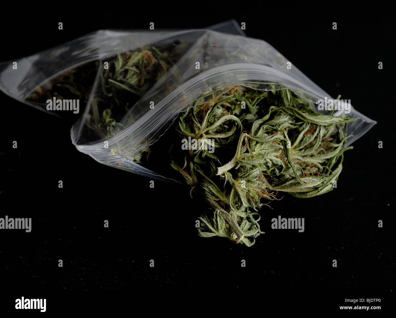 CANNABIS IN PLASTIC BAG, SKUNK, GRASS, WEED Stock Photo Alamy