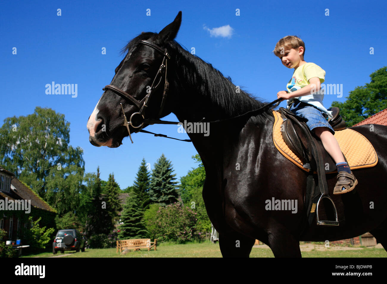 little boy riding a black stallion Stock Photo Alamy
