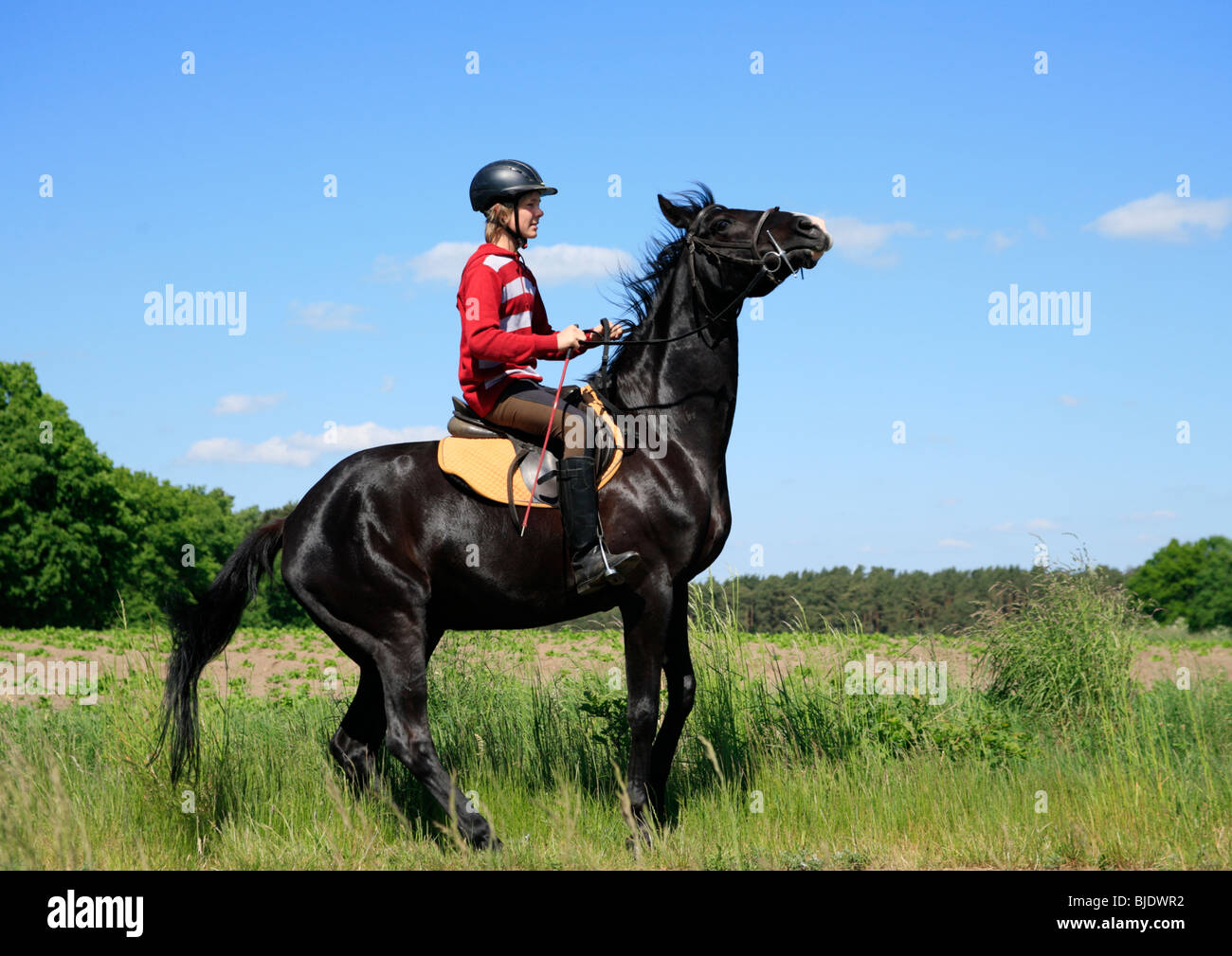 Kid ride horse helmet black hi-res stock photography and images - Alamy