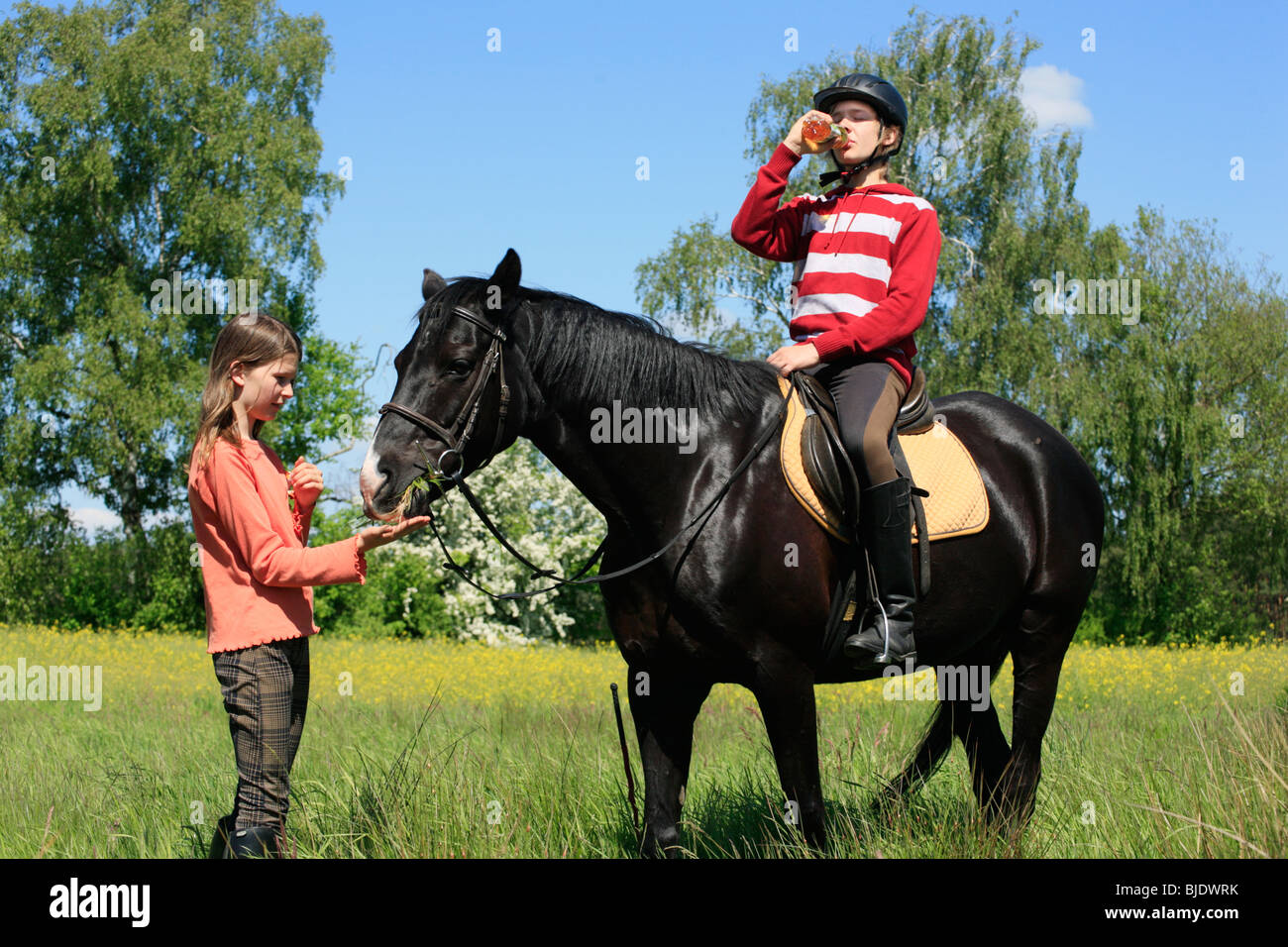 teenage boy riding a black stallion Stock Photo Alamy