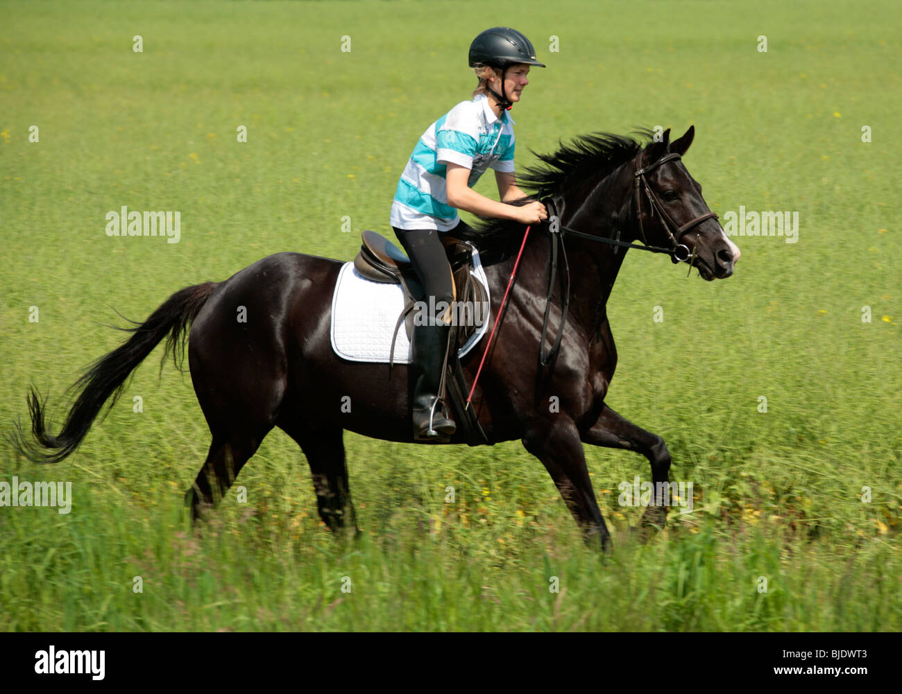 Kid ride horse helmet black hi-res stock photography and images - Alamy